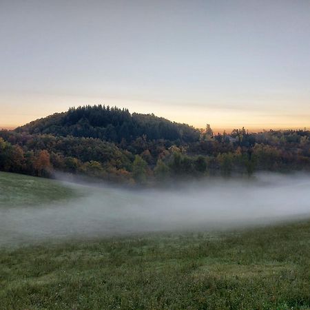 Casa Barattini Bed & Breakfast Zocchetta Dış mekan fotoğraf