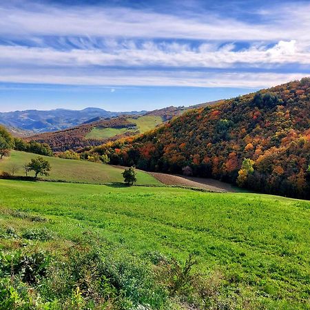 Casa Barattini Bed & Breakfast Zocchetta Dış mekan fotoğraf