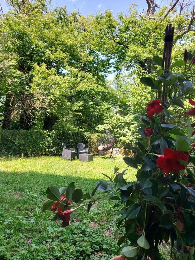 Casa Barattini Bed & Breakfast Zocchetta Dış mekan fotoğraf