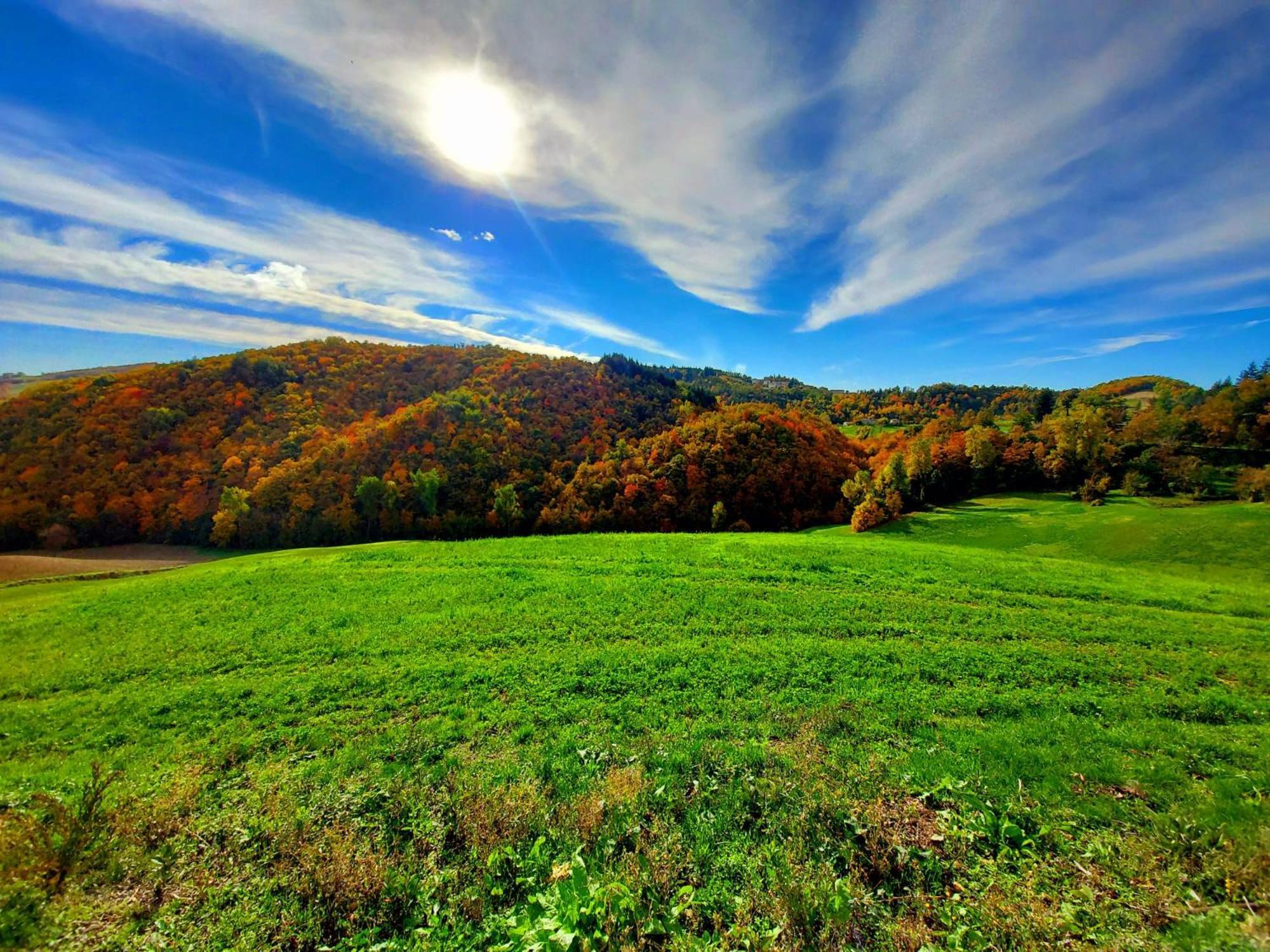 Casa Barattini Bed & Breakfast Zocchetta Dış mekan fotoğraf