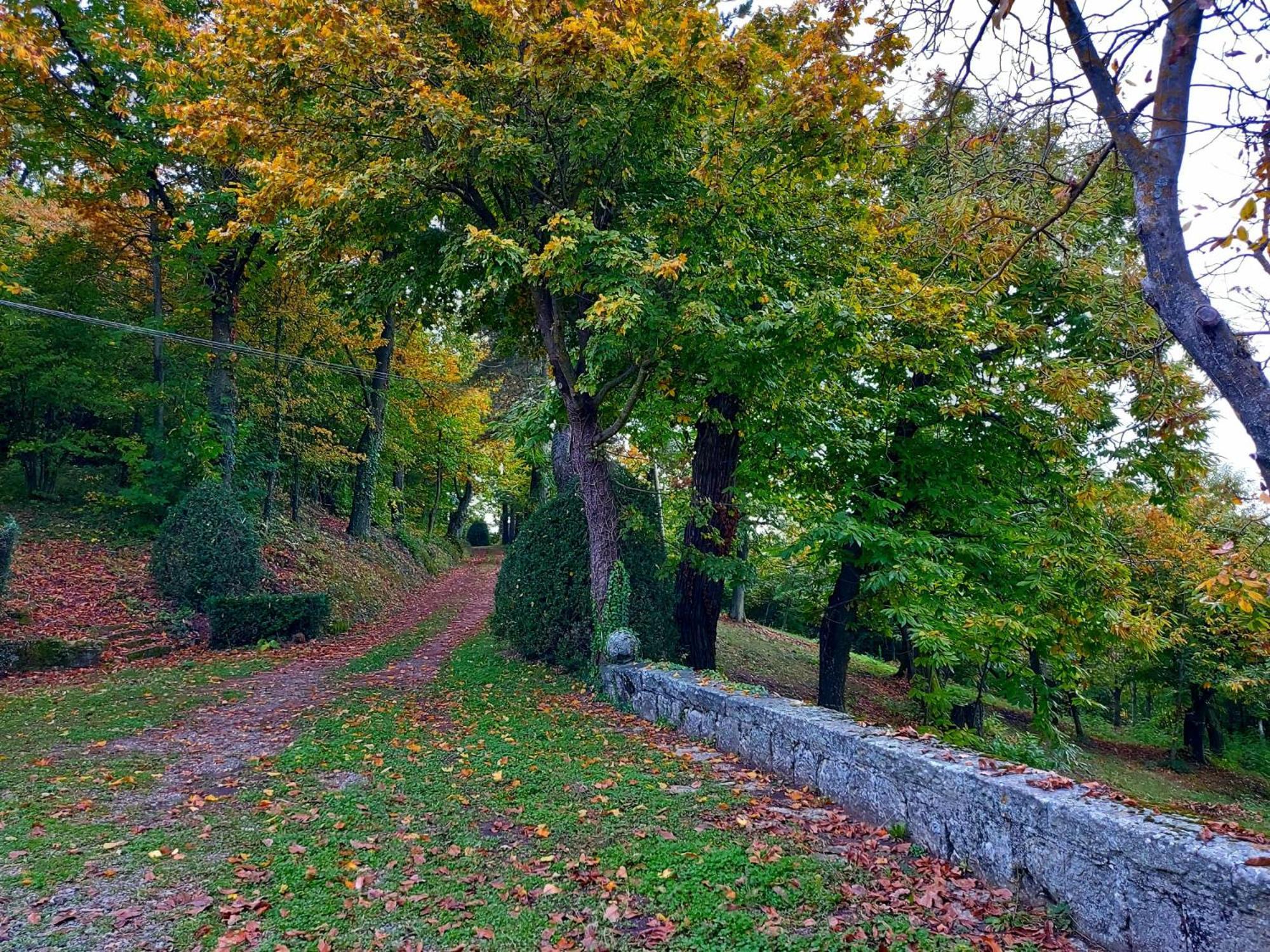 Casa Barattini Bed & Breakfast Zocchetta Dış mekan fotoğraf